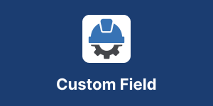 Custom Field